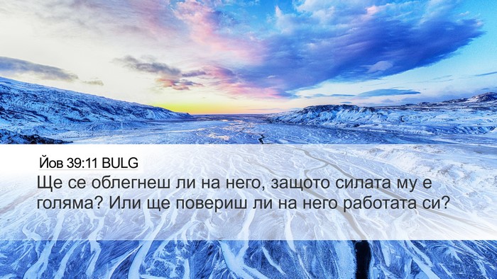 Йов 39:11 BULG Desktop Wallpaper - Ще се облегнеш ли на него, - Desktop Bible Verse Wallpaper
