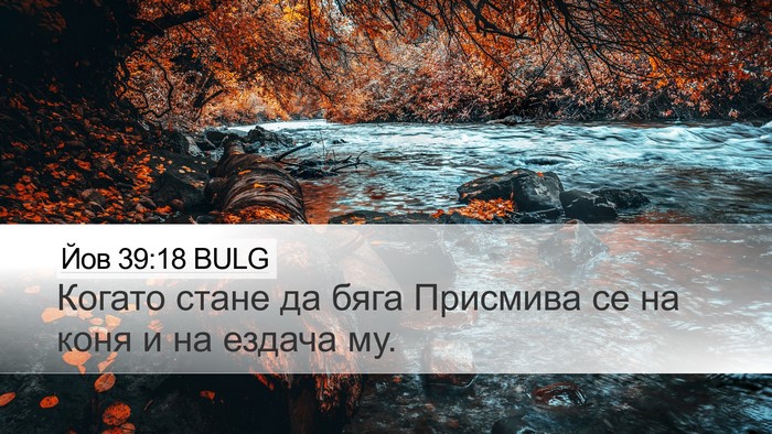 Йов 39:18 BULG Bible Verse Image