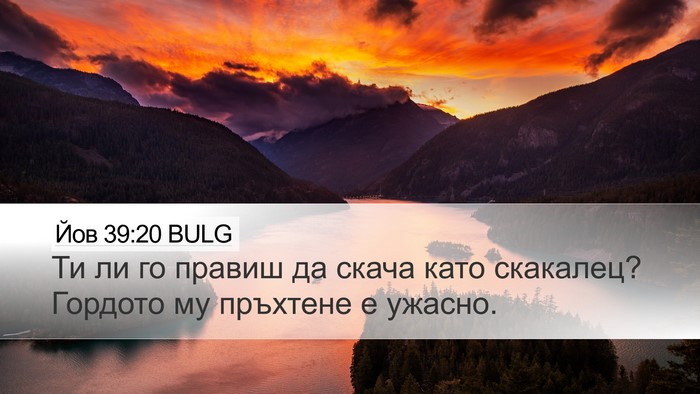 Йов 39:20 BULG Desktop Wallpaper - Ти ли го правиш да скача - Desktop Bible Verse Wallpaper