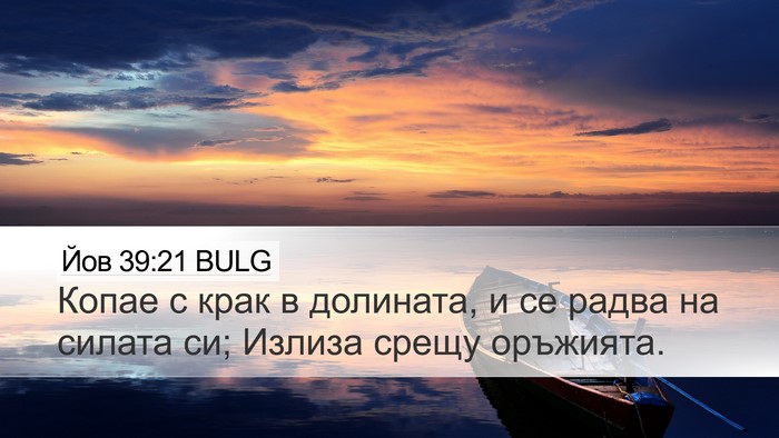 Йов 39:21 BULG Bible Verse Image