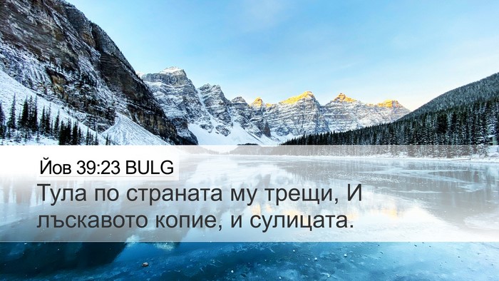Йов 39:23 BULG Bible Verse Image