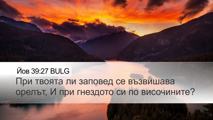 Йов 39:27 BULG Bible Verse Image