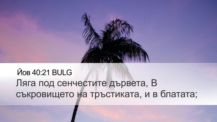 Йов 40:21 BULG Bible Verse Image