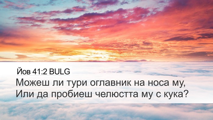 Йов 41:2 BULG Bible Verse Image