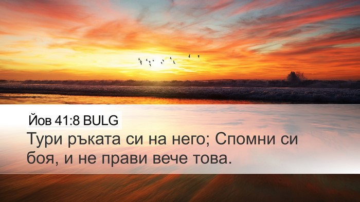 Йов 41:8 BULG Desktop Wallpaper - Тури ръката си на него; - Desktop Bible Verse Wallpaper