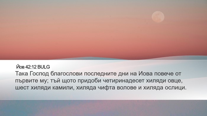Йов 42:12 BULG Bible Verse Image
