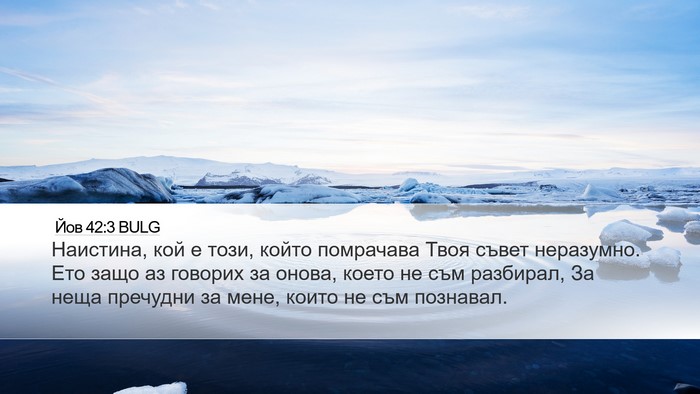 Йов 42:3 BULG Bible Verse Image