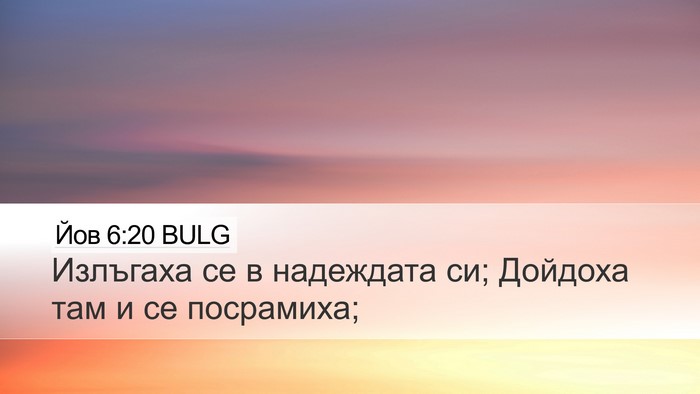 Йов 6:20 BULG Bible Verse Image