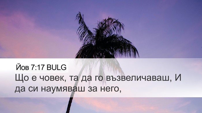 Йов 7:17 BULG Bible Verse Image