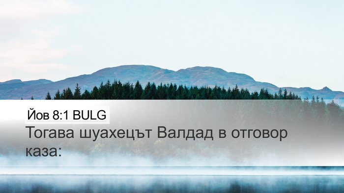 Йов 8:1 BULG Bible Verse Image