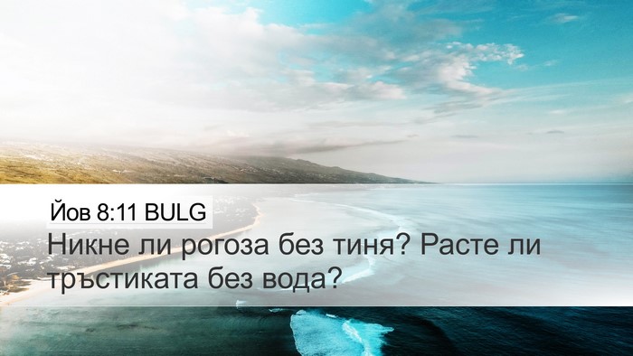 Йов 8:11 BULG Desktop Wallpaper - Никне ли рогоза без тиня? - Desktop Bible Verse Wallpaper