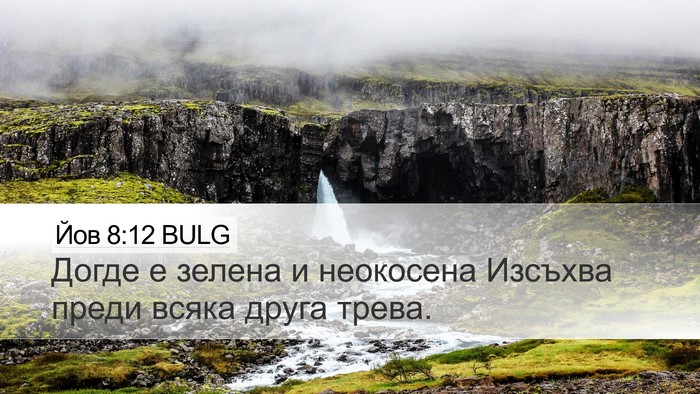 Йов 8:12 BULG Desktop Wallpaper - Догде е зелена и неокосена - Desktop Bible Verse Wallpaper