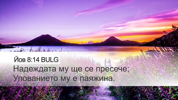 Йов 8:14 BULG Bible Verse Image