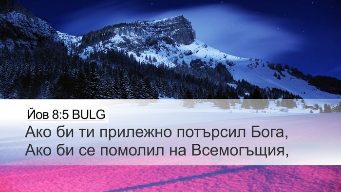 Йов 8:5 BULG Bible Verse Image