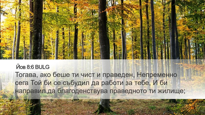 Йов 8:6 BULG Bible Verse Image