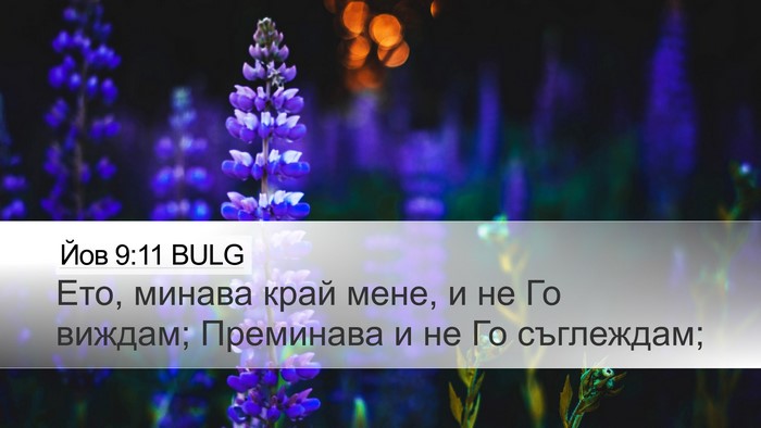 Йов 9:11 BULG Desktop Wallpaper - Ето, минава край мене, и не - Desktop Bible Verse Wallpaper