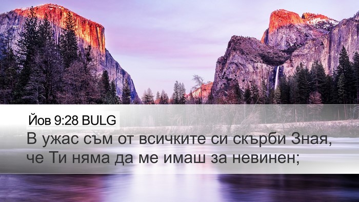 Йов 9:28 BULG Bible Verse Image
