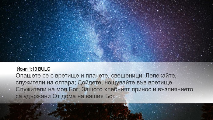 Йоил 1:13 BULG Bible Verse Image