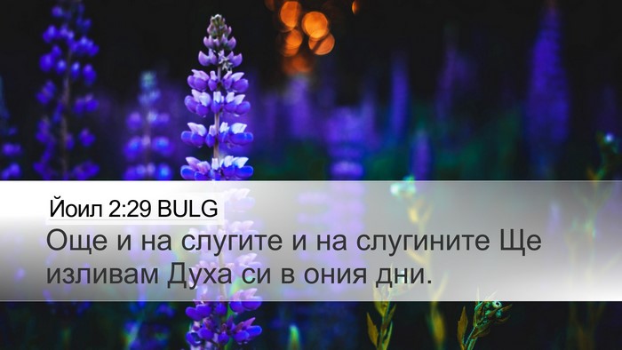 Йоил 2:29 BULG Desktop Wallpaper - Още и на слугите и на - Desktop Bible Verse Wallpaper
