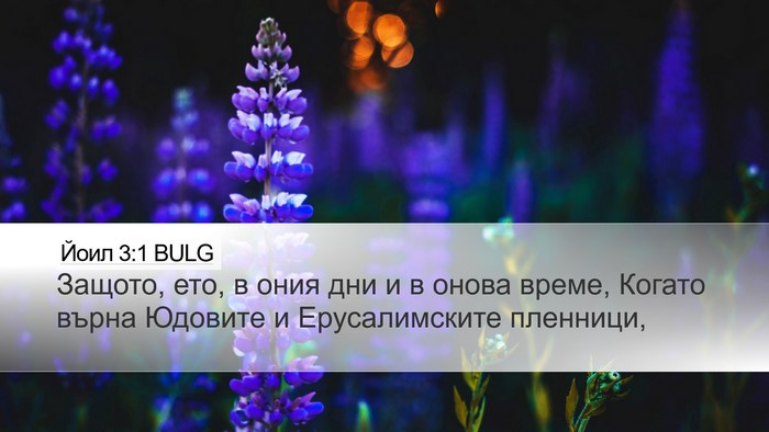 Йоил 3:1 BULG Bible Verse Image