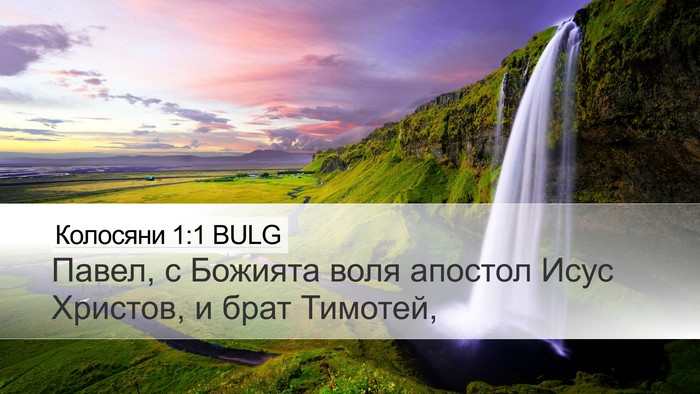Колосяни 1:1 BULG Bible Verse Image