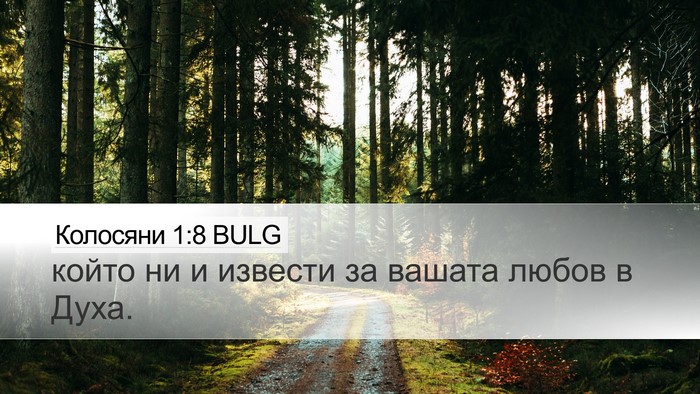 Колосяни 1:8 BULG Desktop Wallpaper - който ни и извести за - Desktop Bible Verse Wallpaper