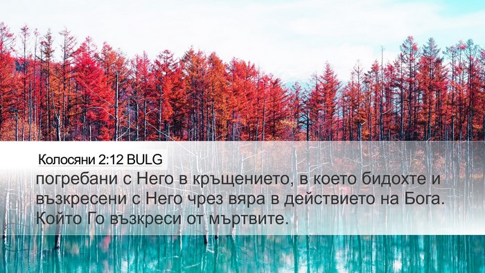 Колосяни 2:12 BULG Bible Verse Image