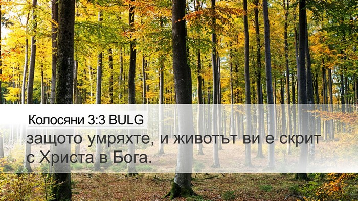 Колосяни 3:3 BULG Bible Verse Image