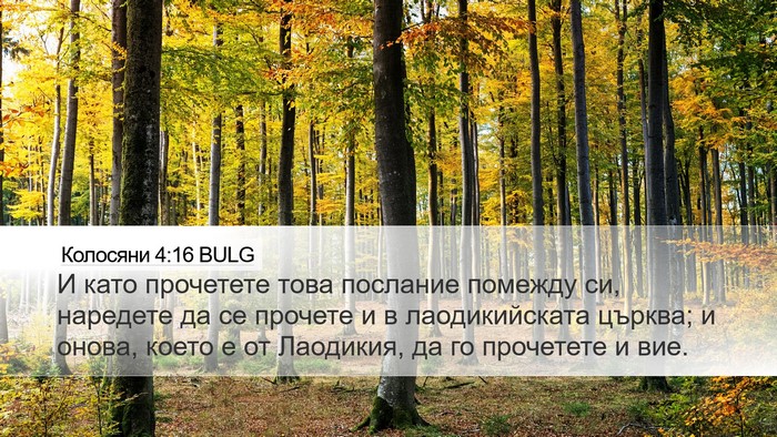 Колосяни 4:16 BULG Bible Verse Image