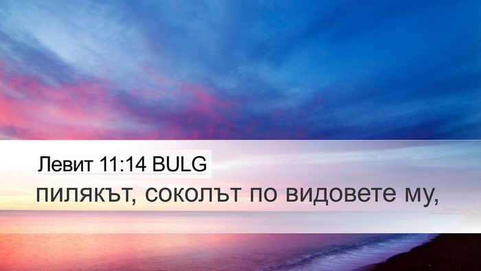 Левит 11:14 BULG Desktop Wallpaper - пилякът, соколът по - Desktop Bible Verse Wallpaper