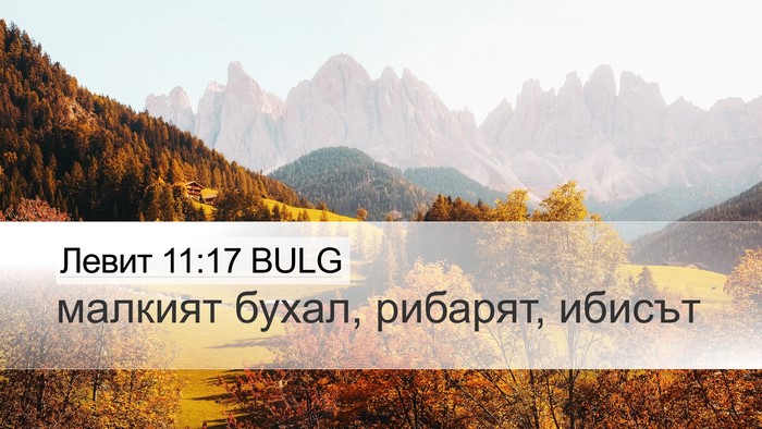 Левит 11:17 BULG Desktop Wallpaper - малкият бухал, рибарят, - Desktop Bible Verse Wallpaper