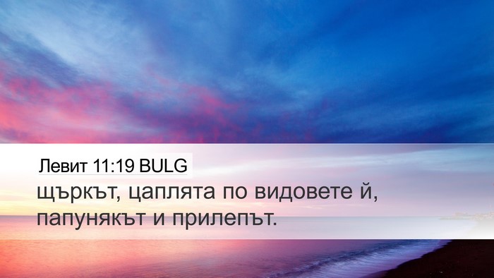 Левит 11:19 BULG Bible Verse Image