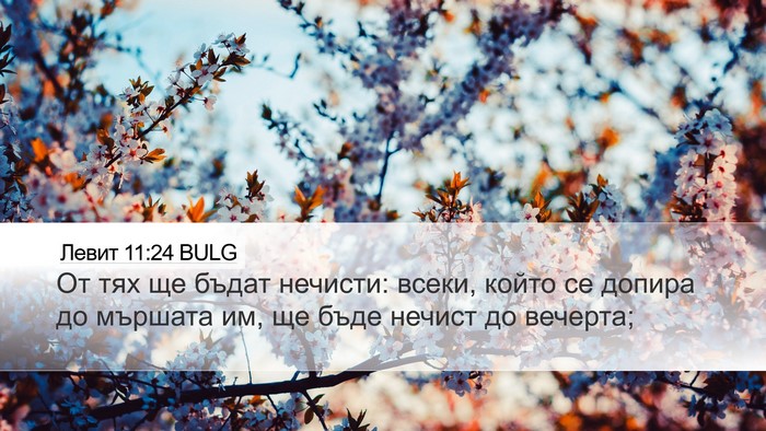Левит 11:24 BULG Bible Verse Image