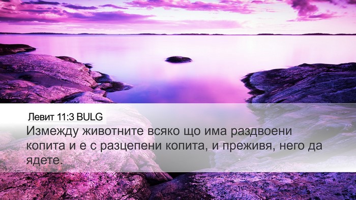 Левит 11:3 BULG Desktop Wallpaper - Измежду животните всяко що - Desktop Bible Verse Wallpaper