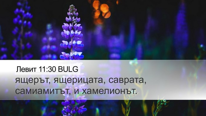 Левит 11:30 BULG Desktop Wallpaper - ящерът, ящерицата, саврата, - Desktop Bible Verse Wallpaper