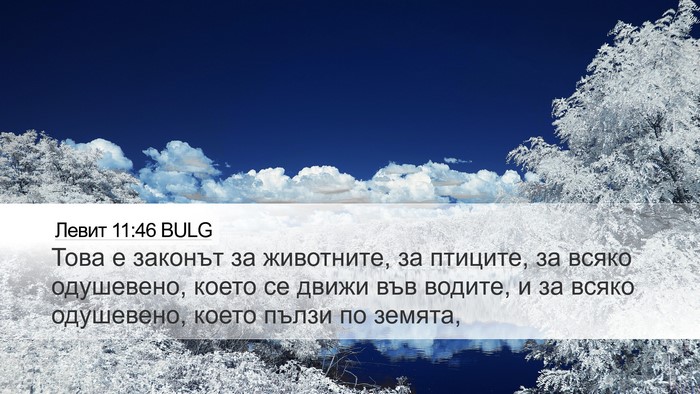 Левит 11:46 BULG Bible Verse Image