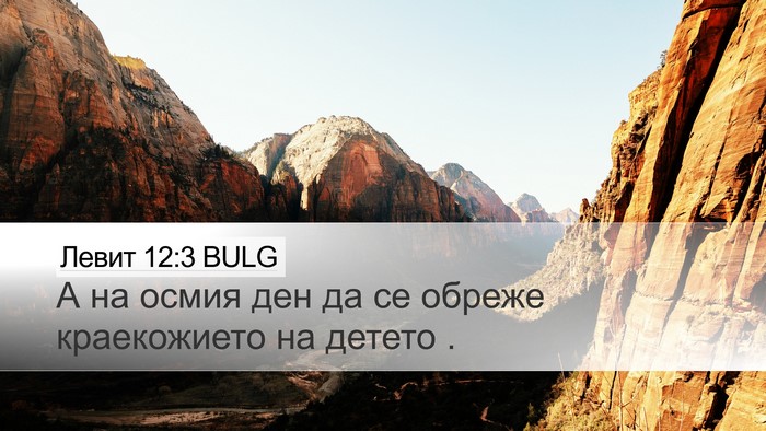 Левит 12:3 BULG Bible Verse Image