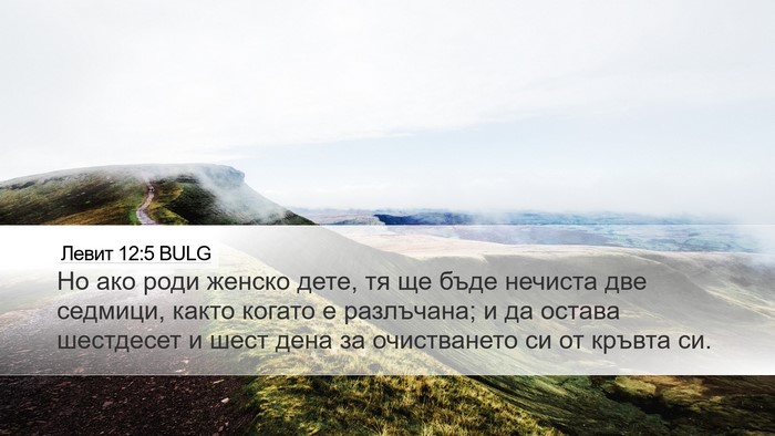 Левит 12:5 BULG Desktop Wallpaper - Но ако роди женско дете, тя - Desktop Bible Verse Wallpaper