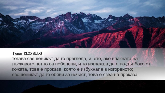 Левит 13:25 BULG Desktop Wallpaper - тогава свещеникът да го - Desktop Bible Verse Wallpaper
