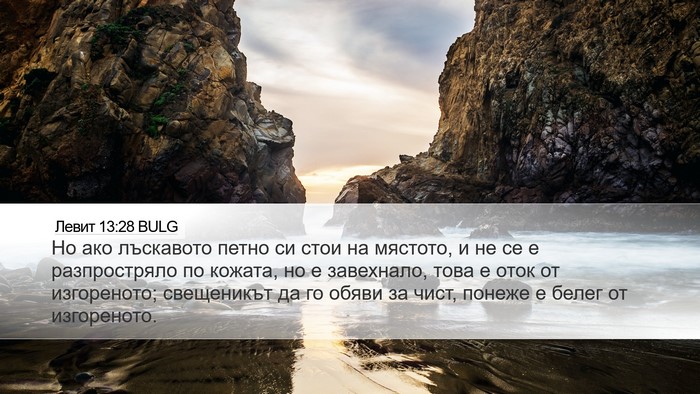 Левит 13:28 BULG Desktop Wallpaper - Но ако лъскавото петно си - Desktop Bible Verse Wallpaper