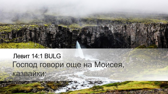 Левит 14:1 BULG Bible Verse Image