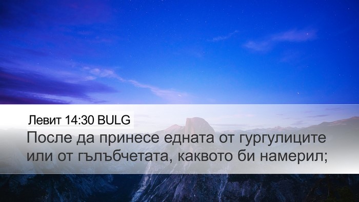Левит 14:30 BULG Bible Verse Image