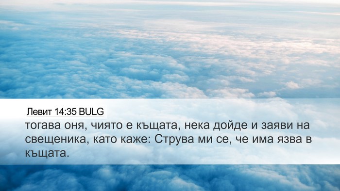 Левит 14:35 BULG Desktop Wallpaper - тогава оня, чиято е къщата, - Desktop Bible Verse Wallpaper