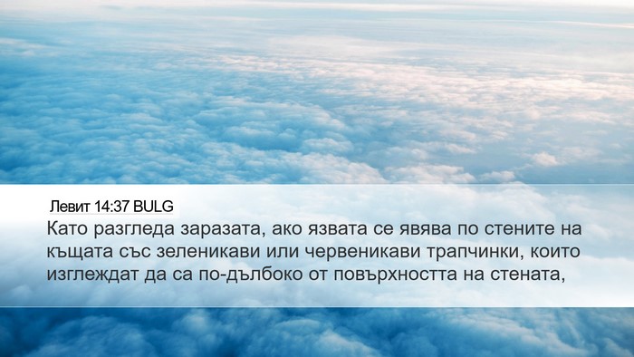Левит 14:37 BULG Desktop Wallpaper - Като разгледа заразата, - Desktop Bible Verse Wallpaper