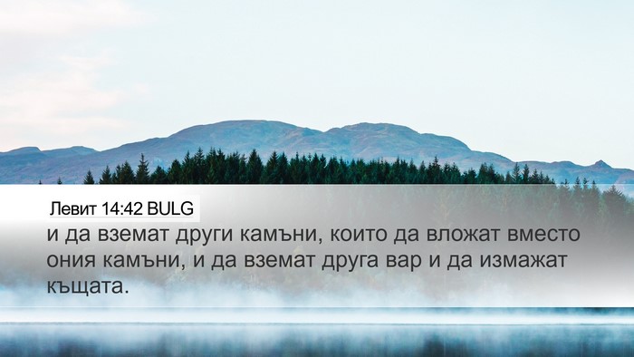 Левит 14:42 BULG Desktop Wallpaper - и да вземат други камъни, - Desktop Bible Verse Wallpaper