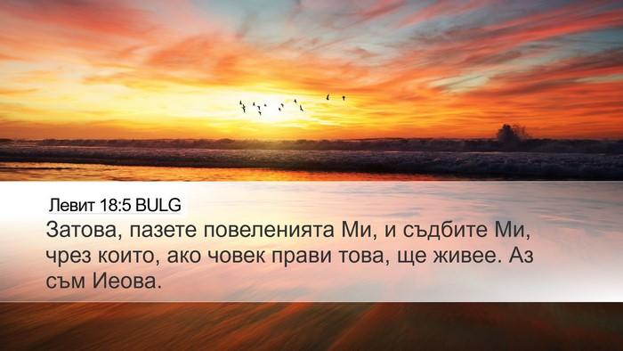 Левит 18:5 BULG Bible Verse Image