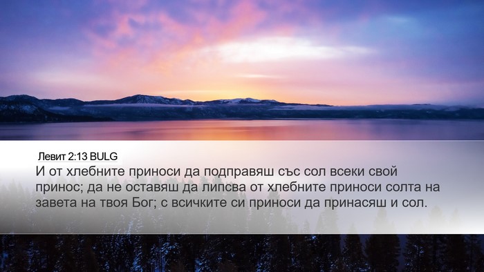 Левит 2:13 BULG Bible Verse Image