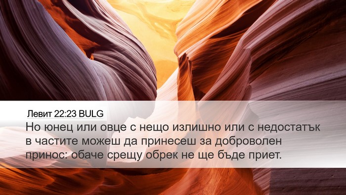 Левит 22:23 BULG Bible Verse Image
