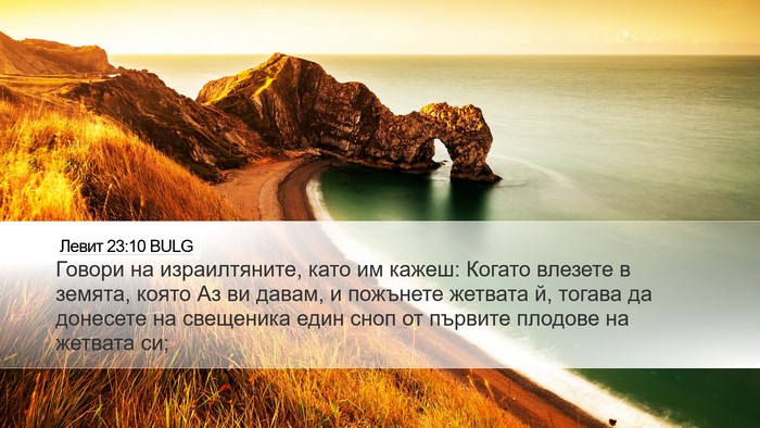 Левит 23:10 BULG Bible Verse Image