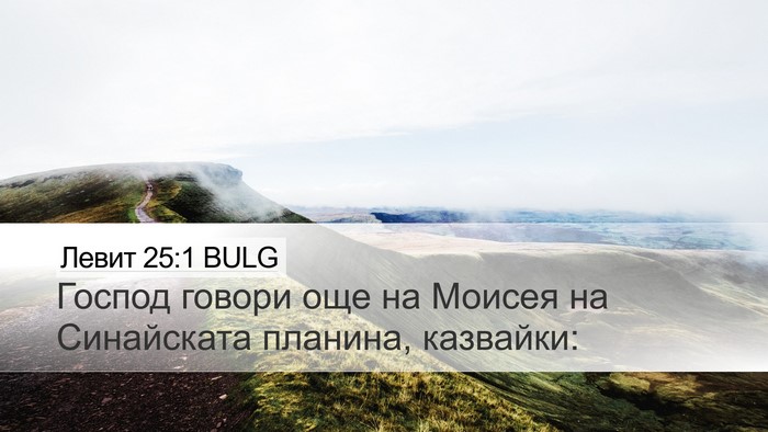Левит 25:1 BULG Bible Verse Image
